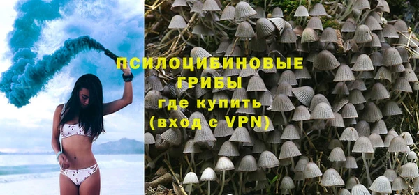 кокс Алзамай
