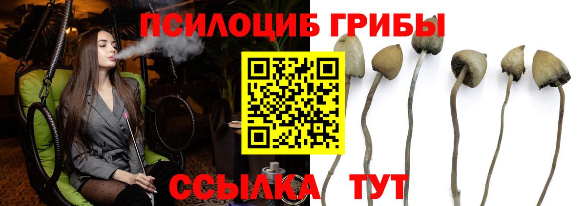 Арсеньев  Псилоцибиновые грибы мухоморы  Вход с VPN  цены наркотик  Галлюциногенные грибы ЛСД 